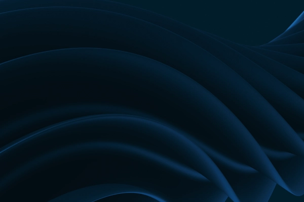 Internet Fibra 100 Mbps