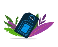 4g